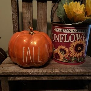 Small iridescent “fall” Rae Dunn pumpkin